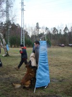 /album/fotogalerie/dsc03373-jpg/